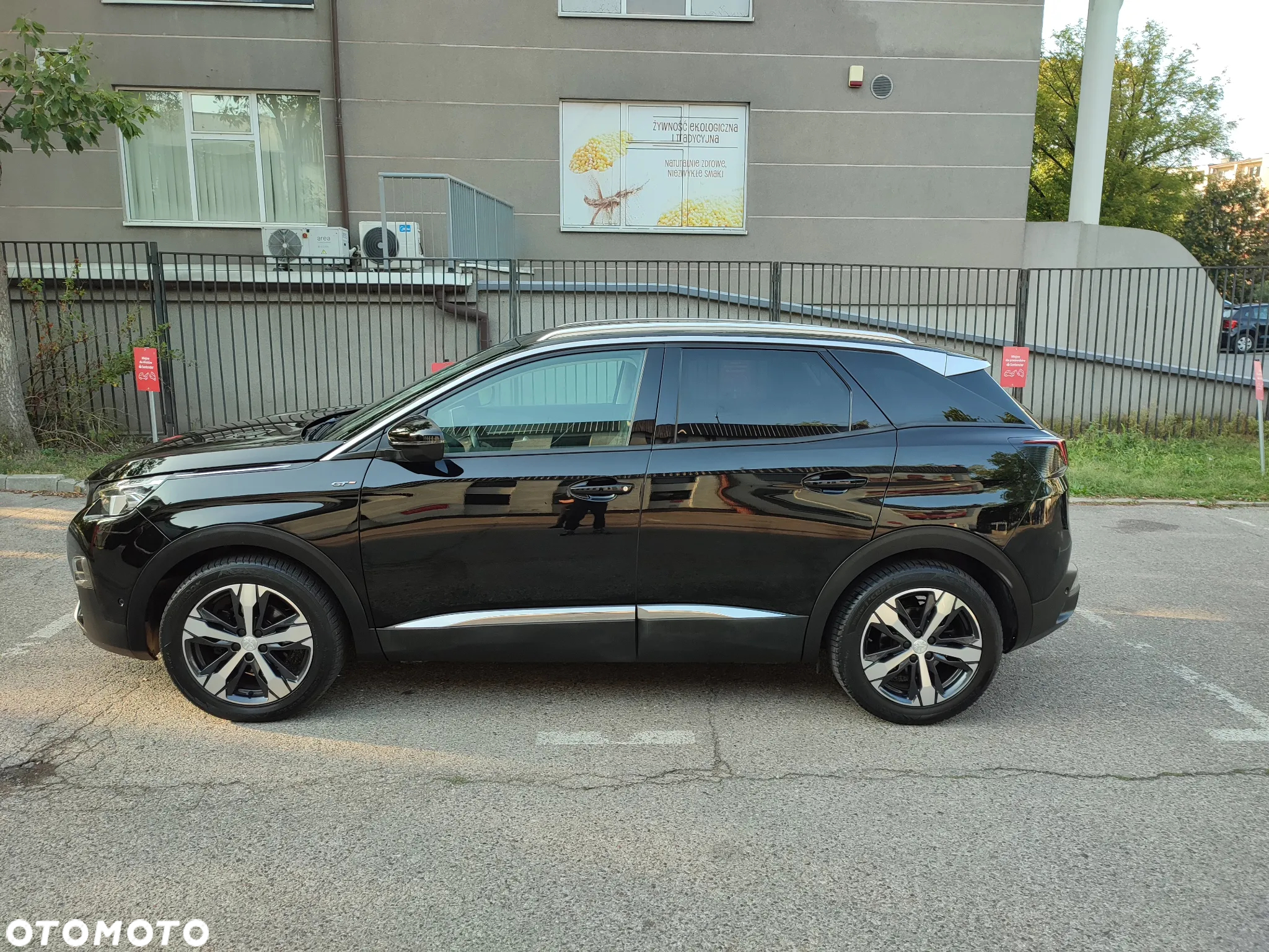 Peugeot 3008 1.6 PureTech GPF GT Line S&S EAT8 - 17
