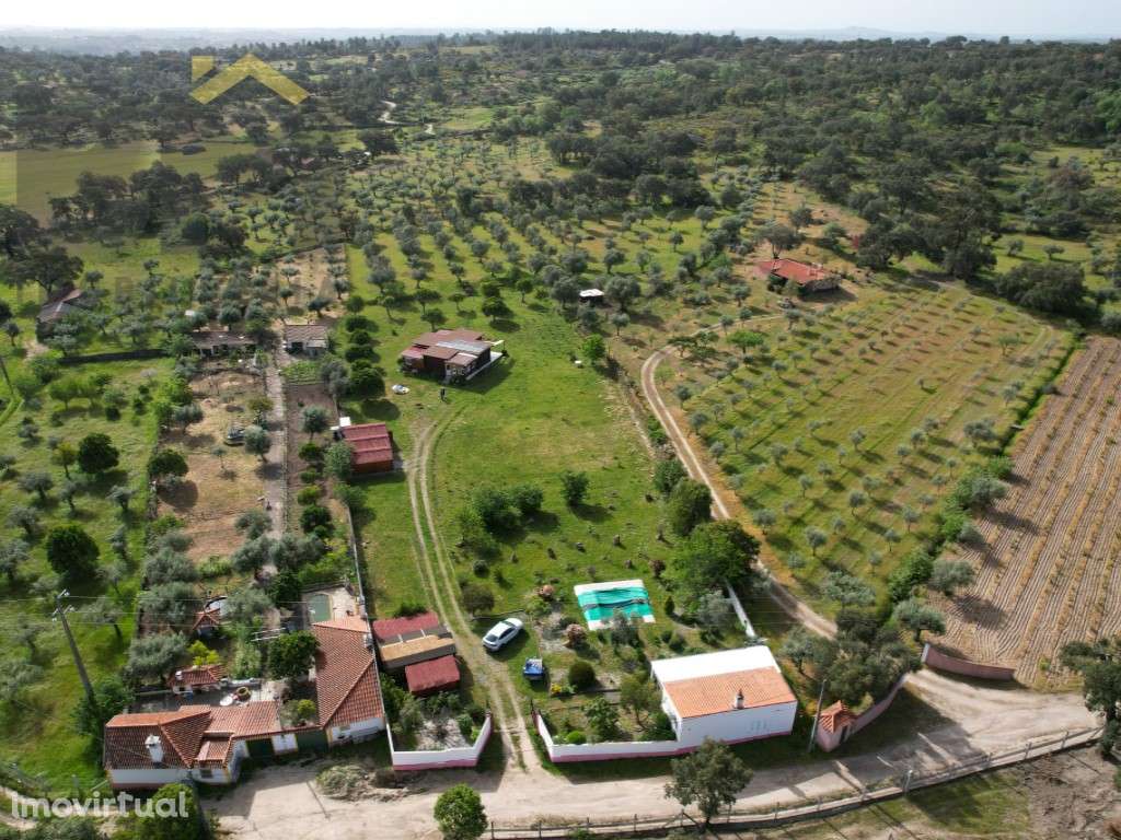 Quinta com 1 Hectare em Tinalhas - Duas construções, Piscina e Exce... - Grande imagem: 2/36