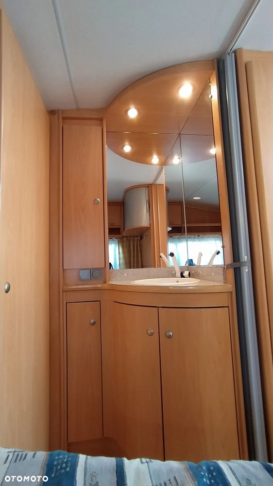 Wilk sport - 38