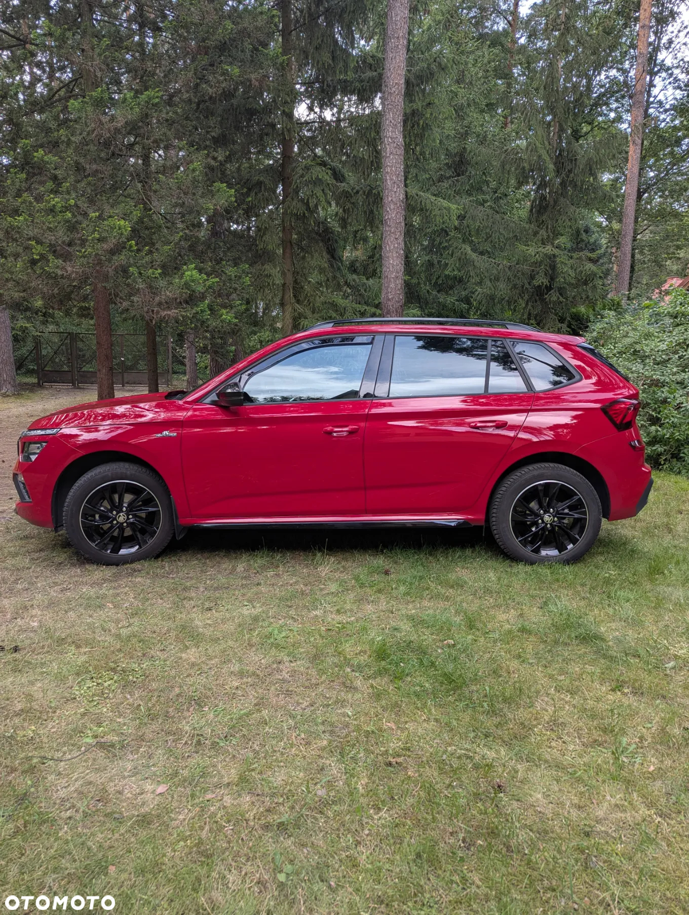 Skoda Kamiq 1.0 TSI Monte Carlo DSG - 7