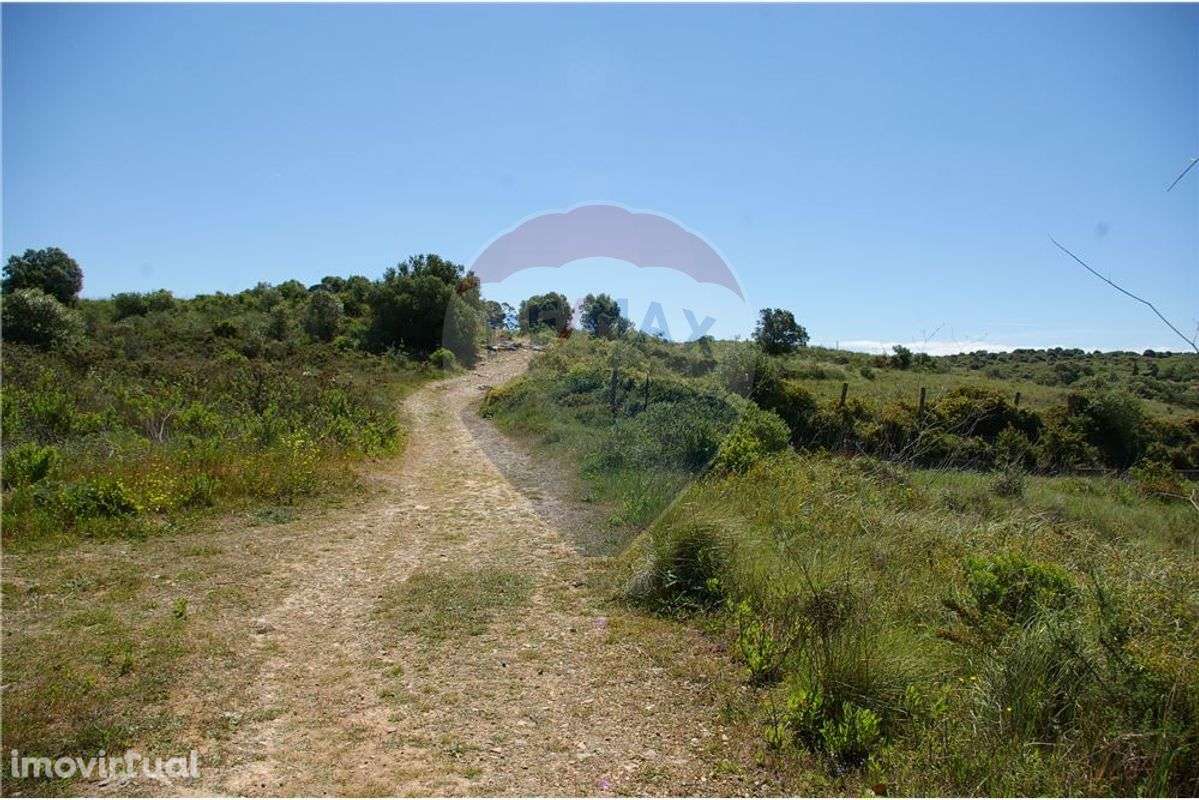 Terreno T0 para venda - Grande imagem: 3/9