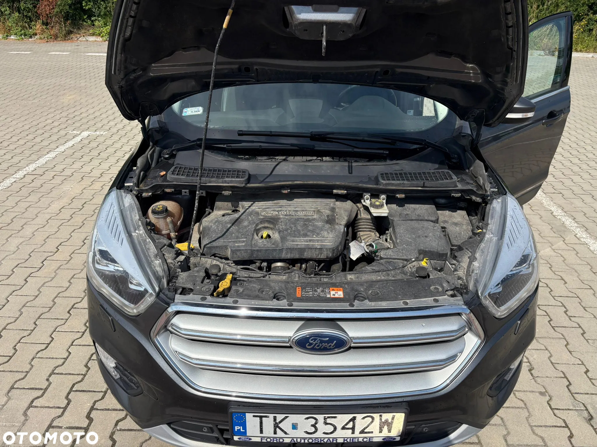 Ford Kuga 2.0 TDCi AWD Edition - 22