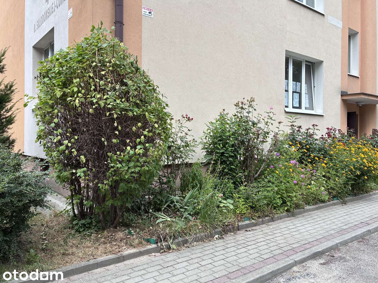 Mieszkanie na sprzedaż