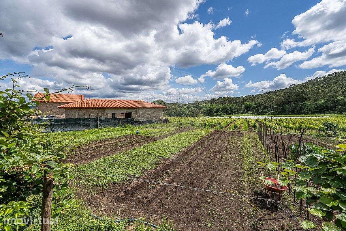 Quinta T4 para venda - Grande imagem: 4/25