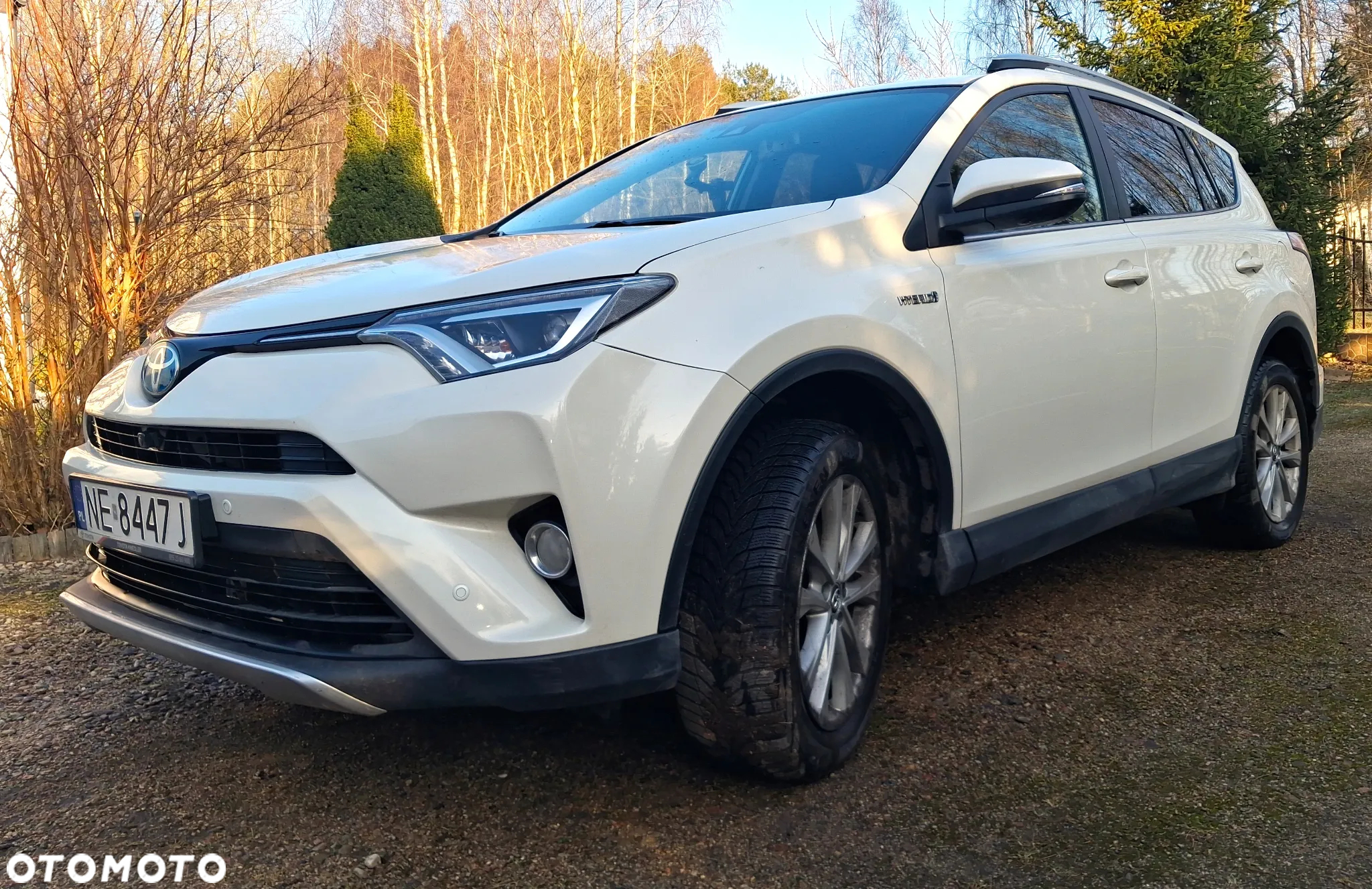 Toyota RAV4 Hybrid Premium 4x4 - 5