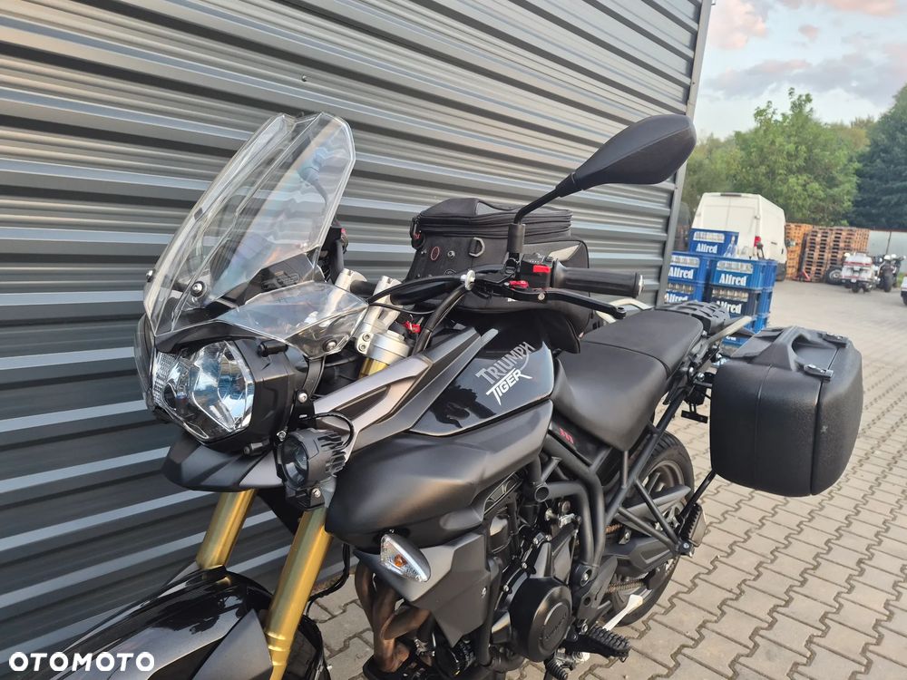 Triumph Tiger - 21