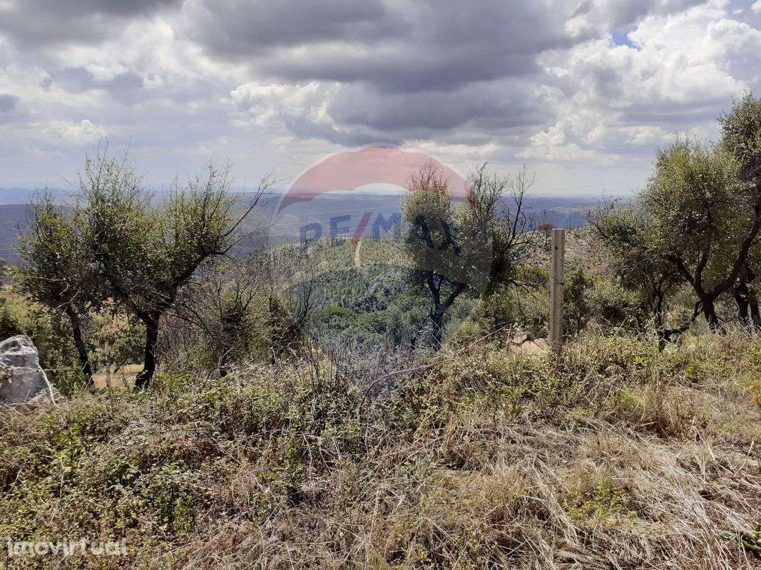 Terreno  para venda - Grande imagem: 4/7