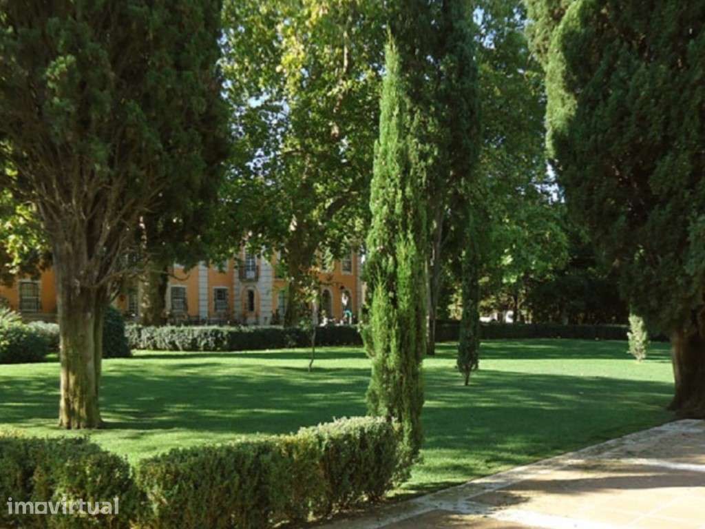 Palacete, jardim privado de 2.780 m2, Paço Lumiar - Grande imagem: 4/30