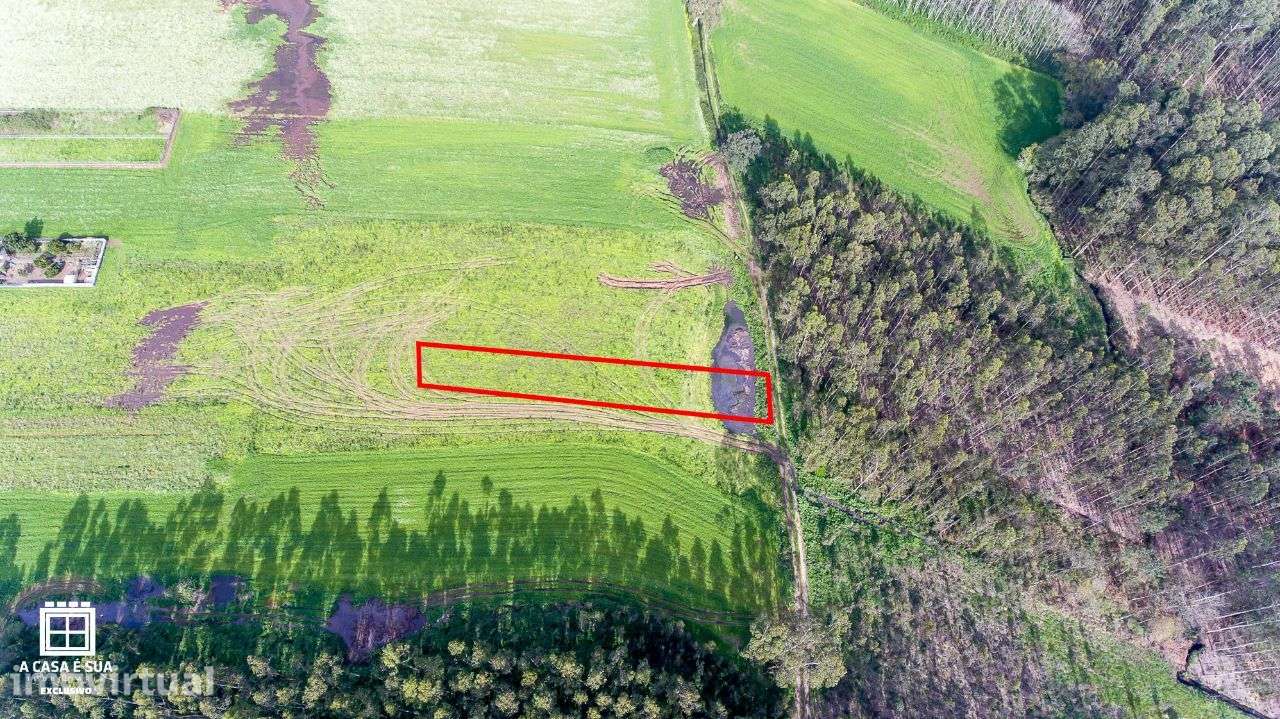 Terreno de cultivo em São João de Ovar - Exclusivo - Grande imagem: 3/12