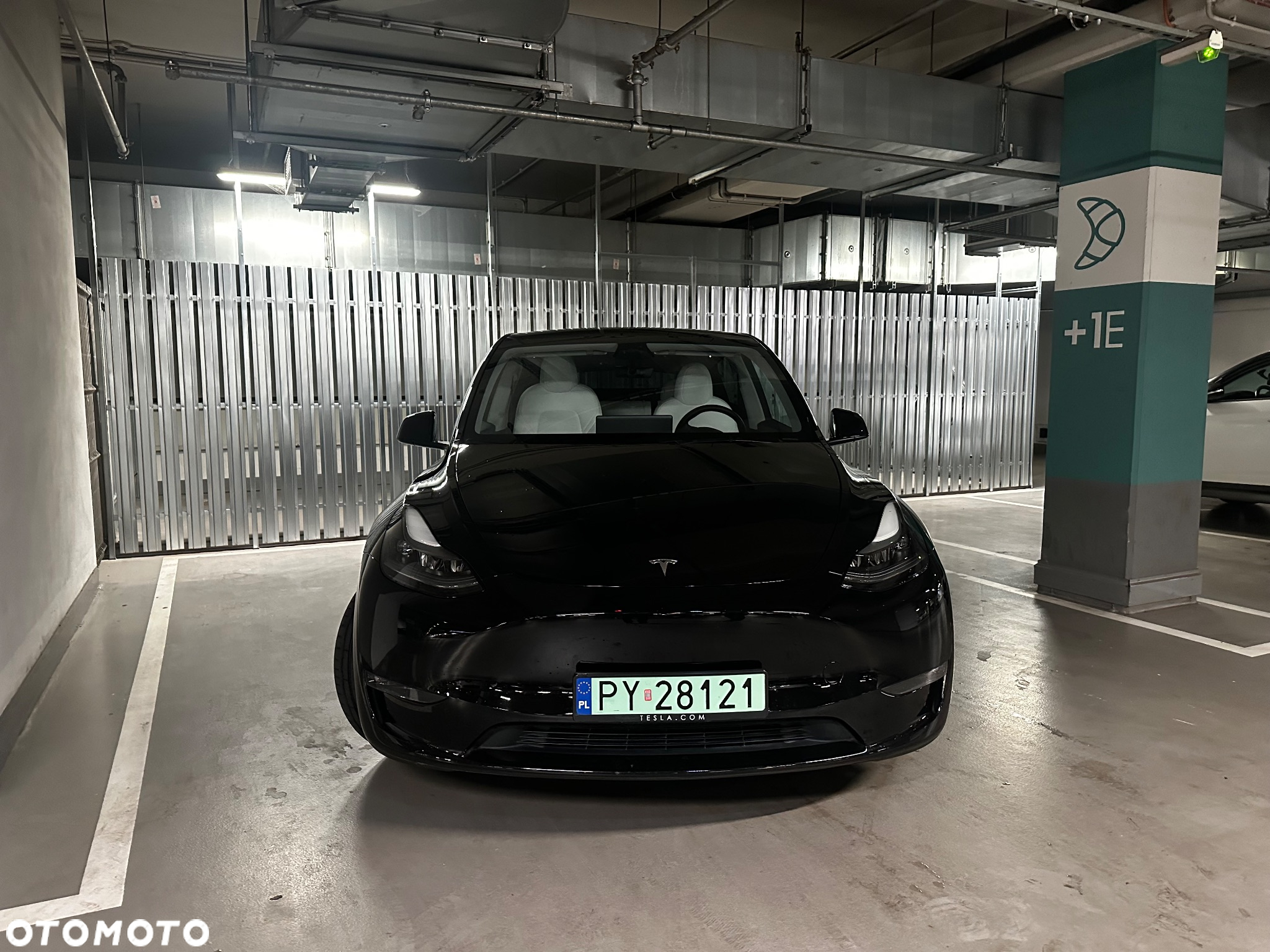 Tesla Y Long Range AWD - 2