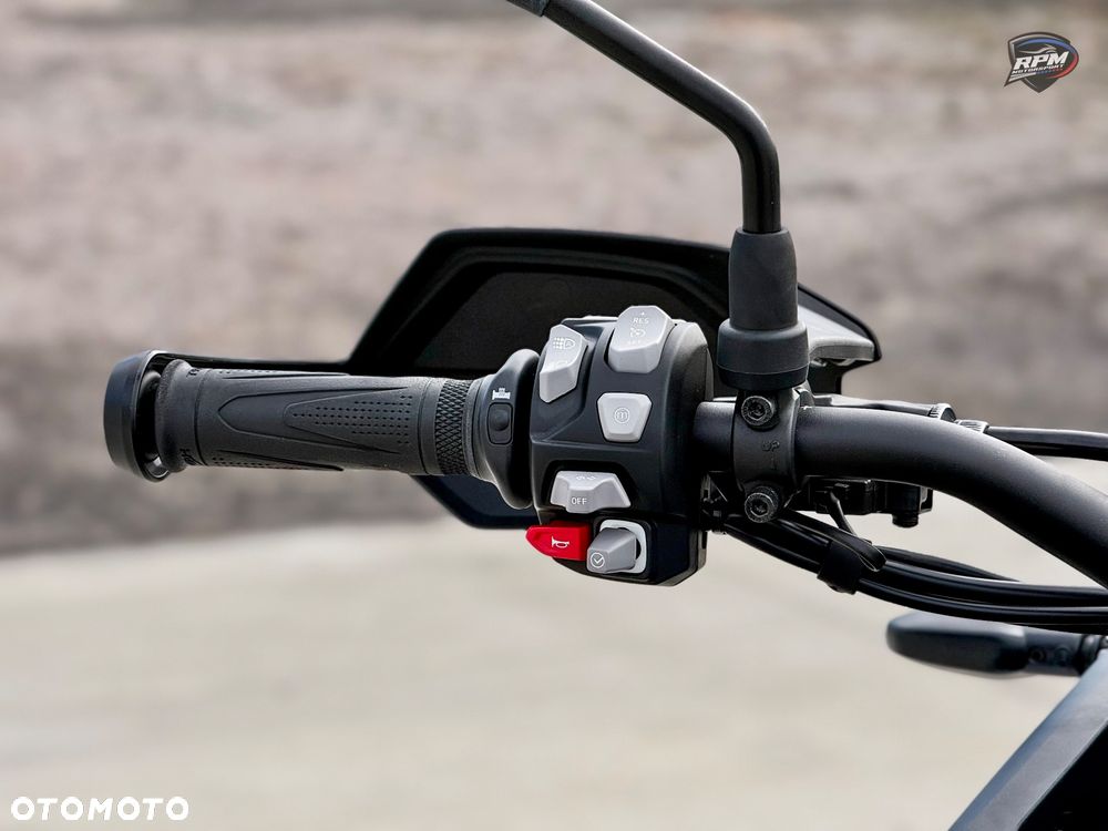 Triumph Tiger - 31