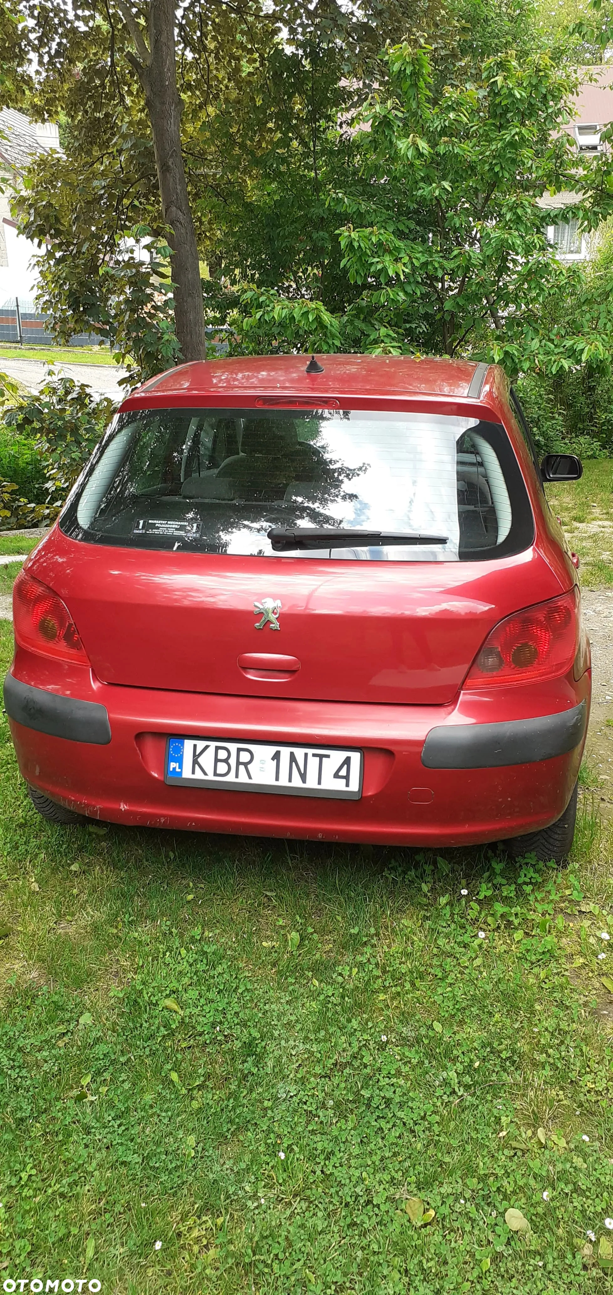 Peugeot 307 1.6 - 8