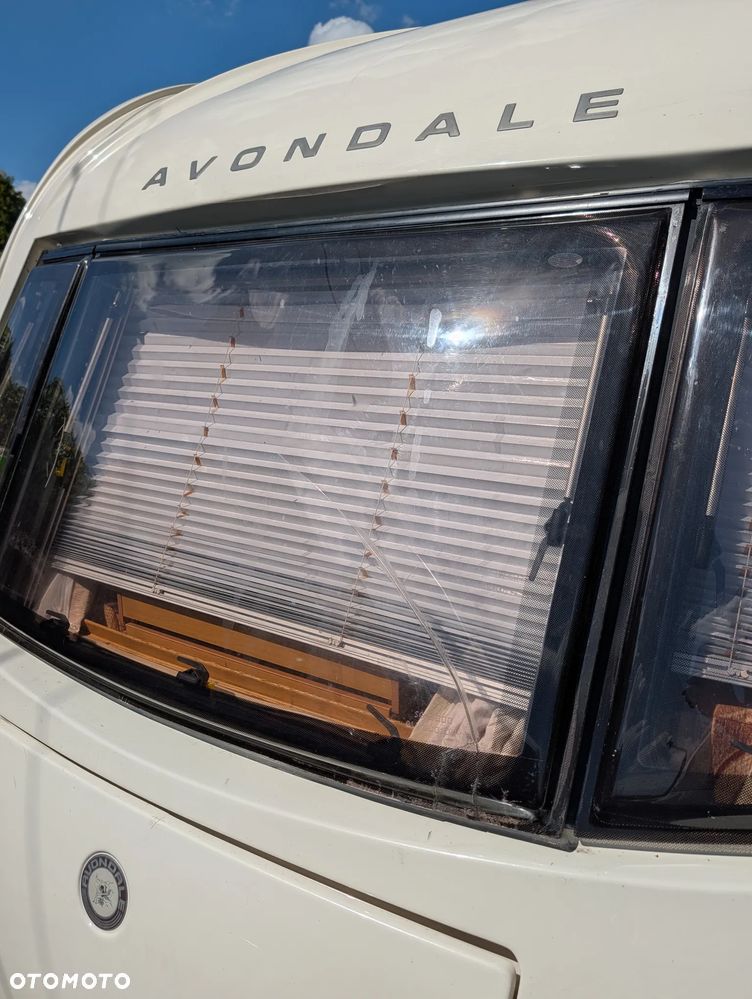 Avondale Golden Avocet - 38