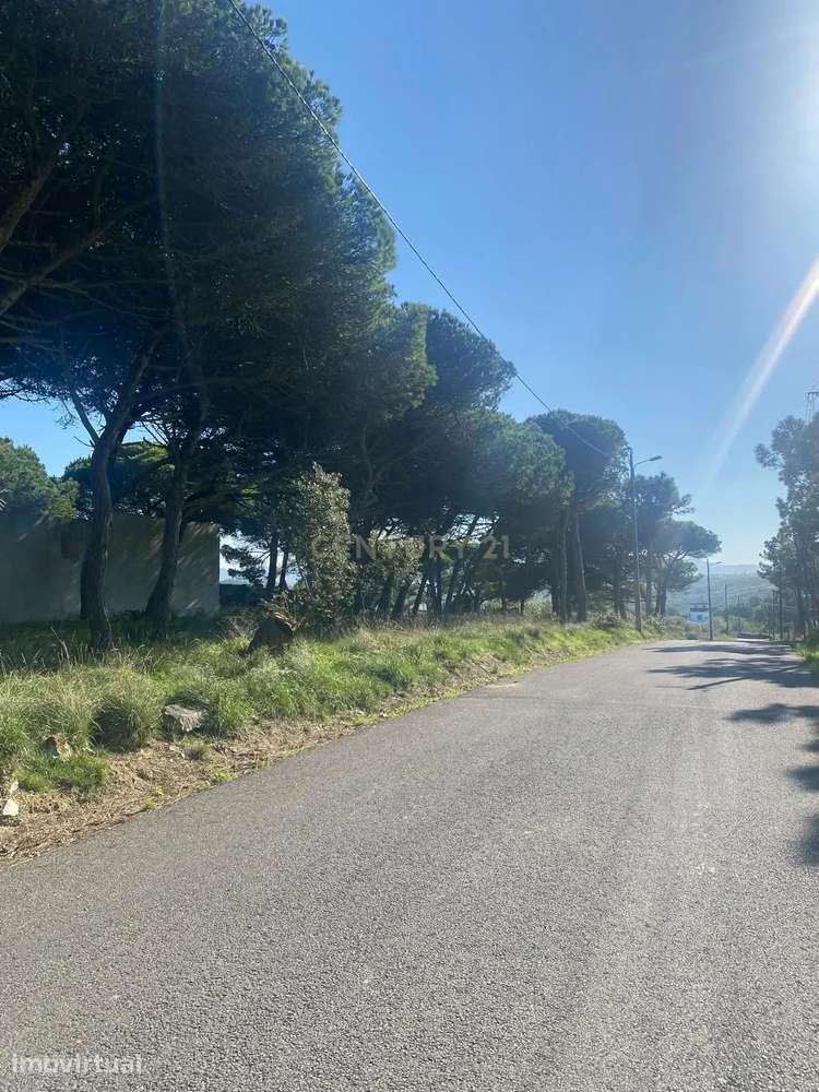 Terreno Urbano com 1400m2 em Magoito, Sintra - Grande imagem: 2/7