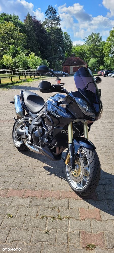 Triumph Tiger - 2