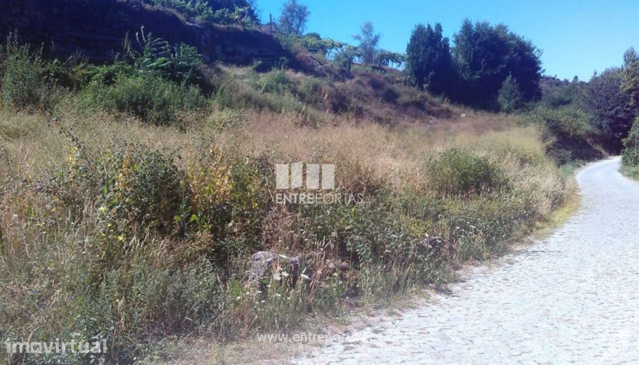 Venda Terreno, Soalhães, Marco de Canaveses - Grande imagem: 5/6