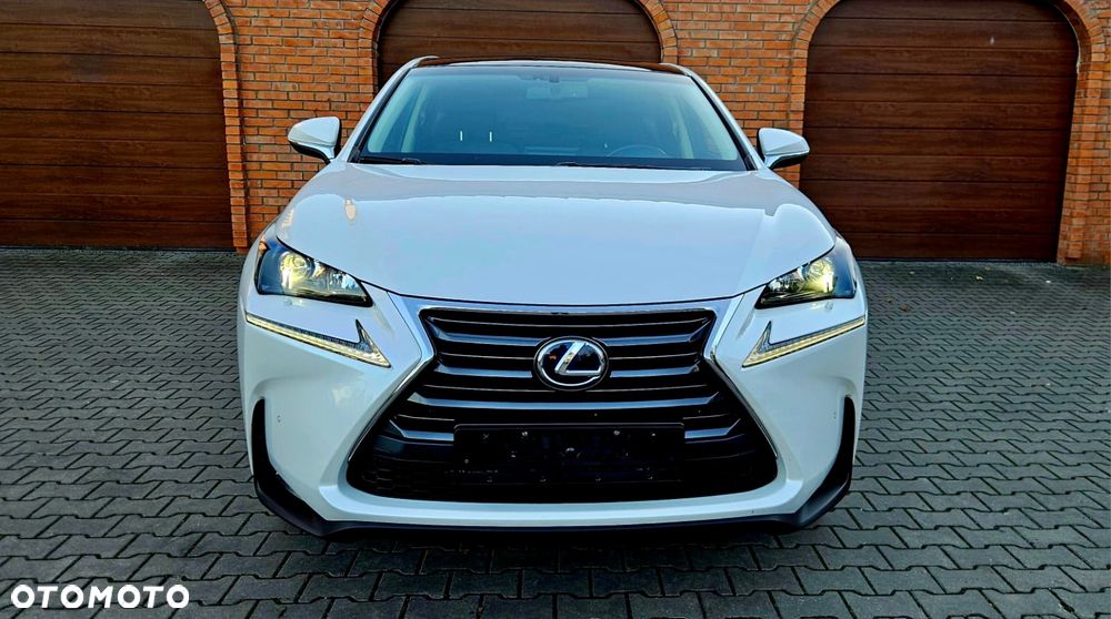 Lexus NX 300h Executive Line - 3