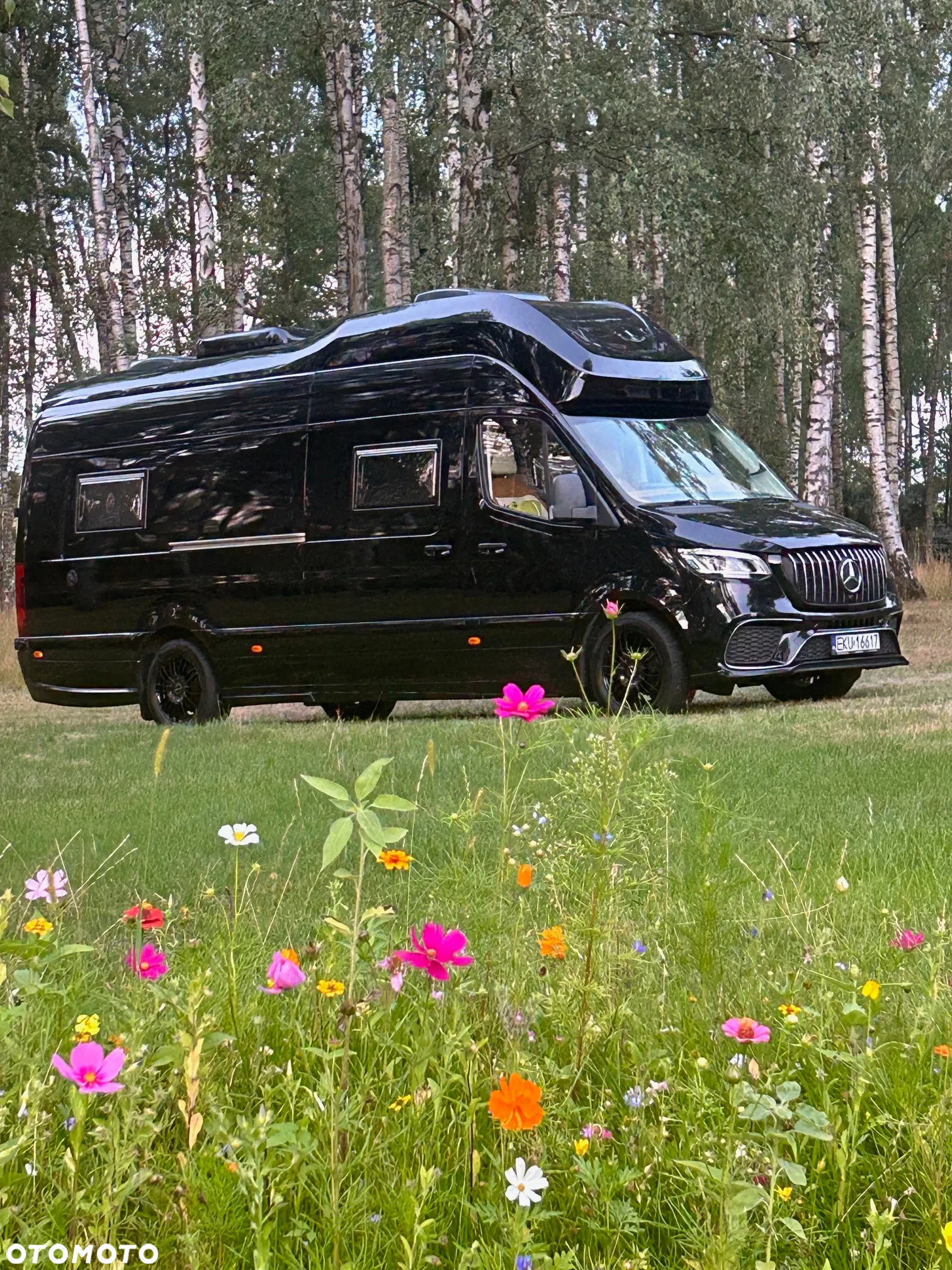 Mercedes-Benz SPRINTER 319 - 4
