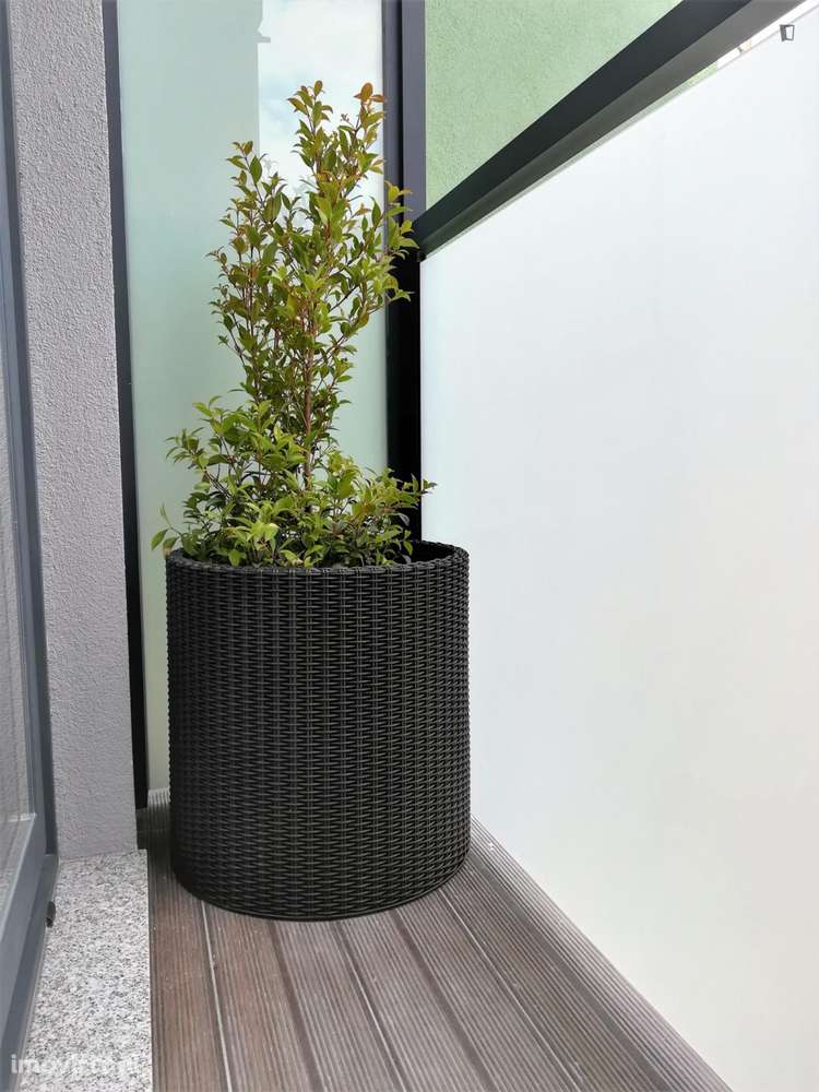 Estúdio - localizado em Cedofeita Porto - Grande imagem: 4/10