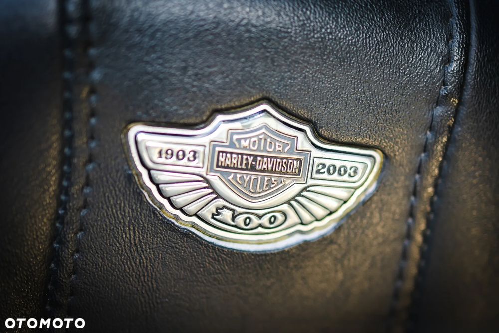 Harley-Davidson Sportster Custom 1200C - 11