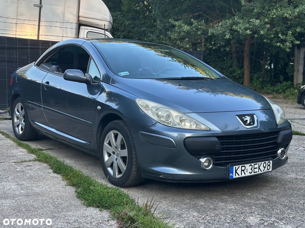 Peugeot 307 CC - 4