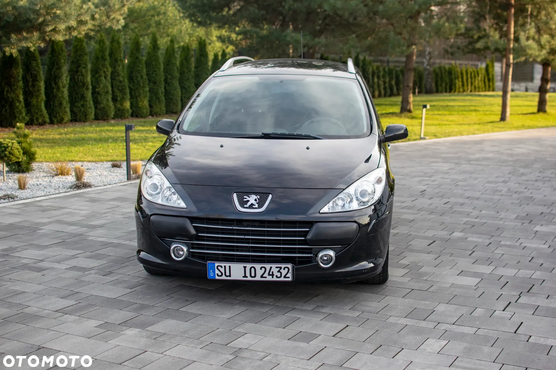 Peugeot 307 - 7