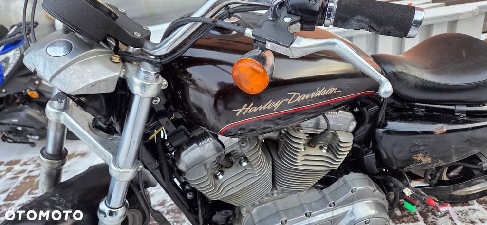 Harley-Davidson Sportster Custom 883C - 32