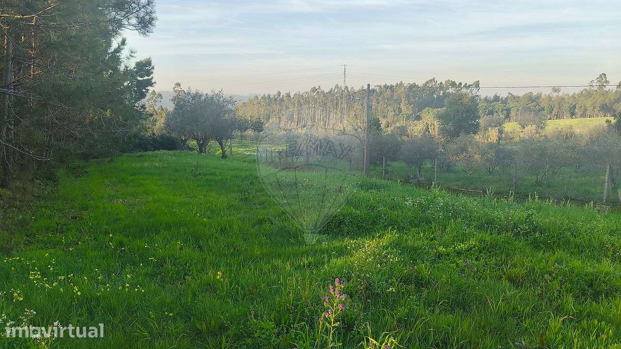 Terreno  para venda - Grande imagem: 2/7