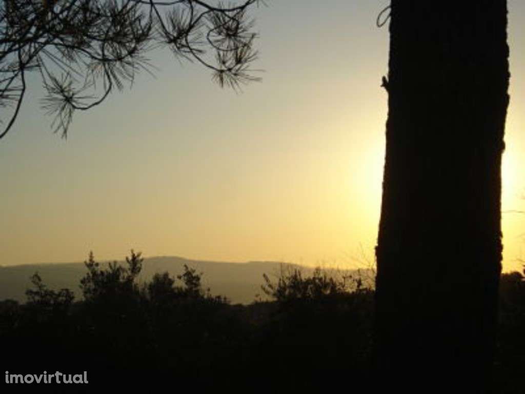 Terreno, 5.5 hectares, PIP aprovado com possibilidade construção ho... - Grande imagem: 3/15