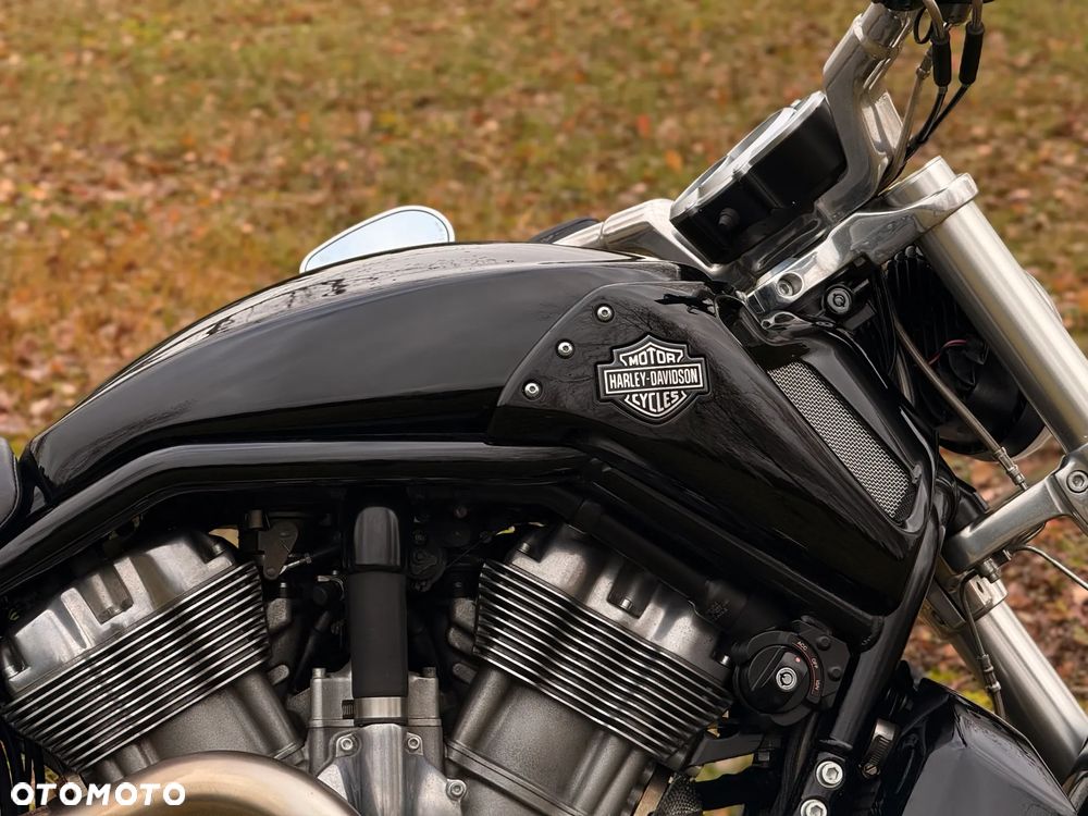 Harley-Davidson V-Rod Muscle - 22