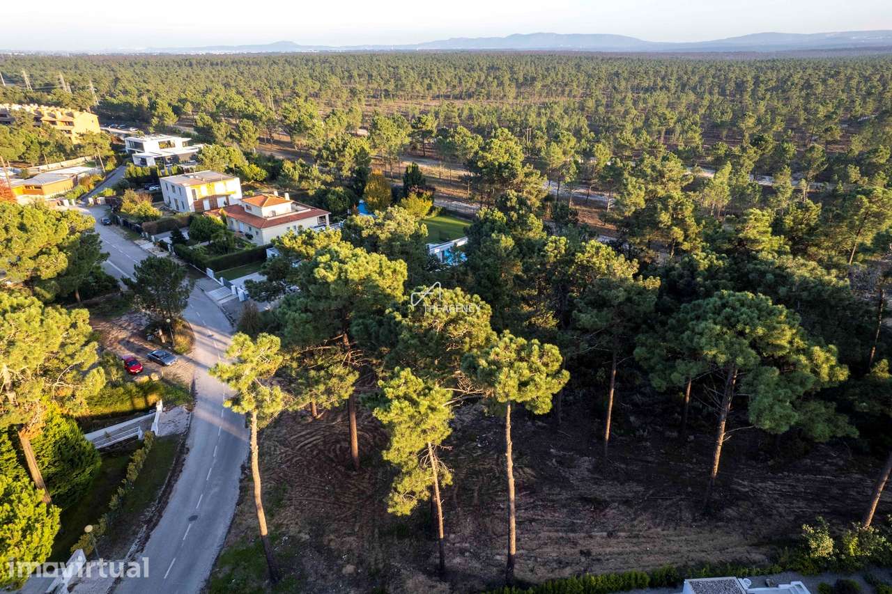 Terreno com Projeto Aprovado para Moradia Contemporânea de Luxo junto - Grande imagem: 5/8