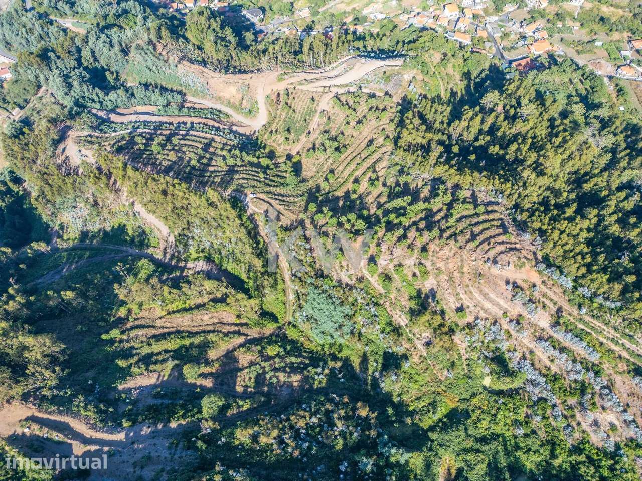LAND | 23.260 M2| JARDIM DA SERRA | CÂMARA DE LOBOS | ILHA DA MADEIRA - Grande imagem: 3/17
