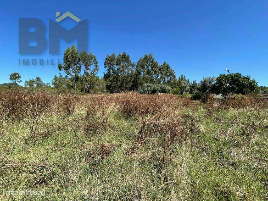 Terreno rustico com 1680m2 em Juncal do Campo! - Grande imagem: 5/8