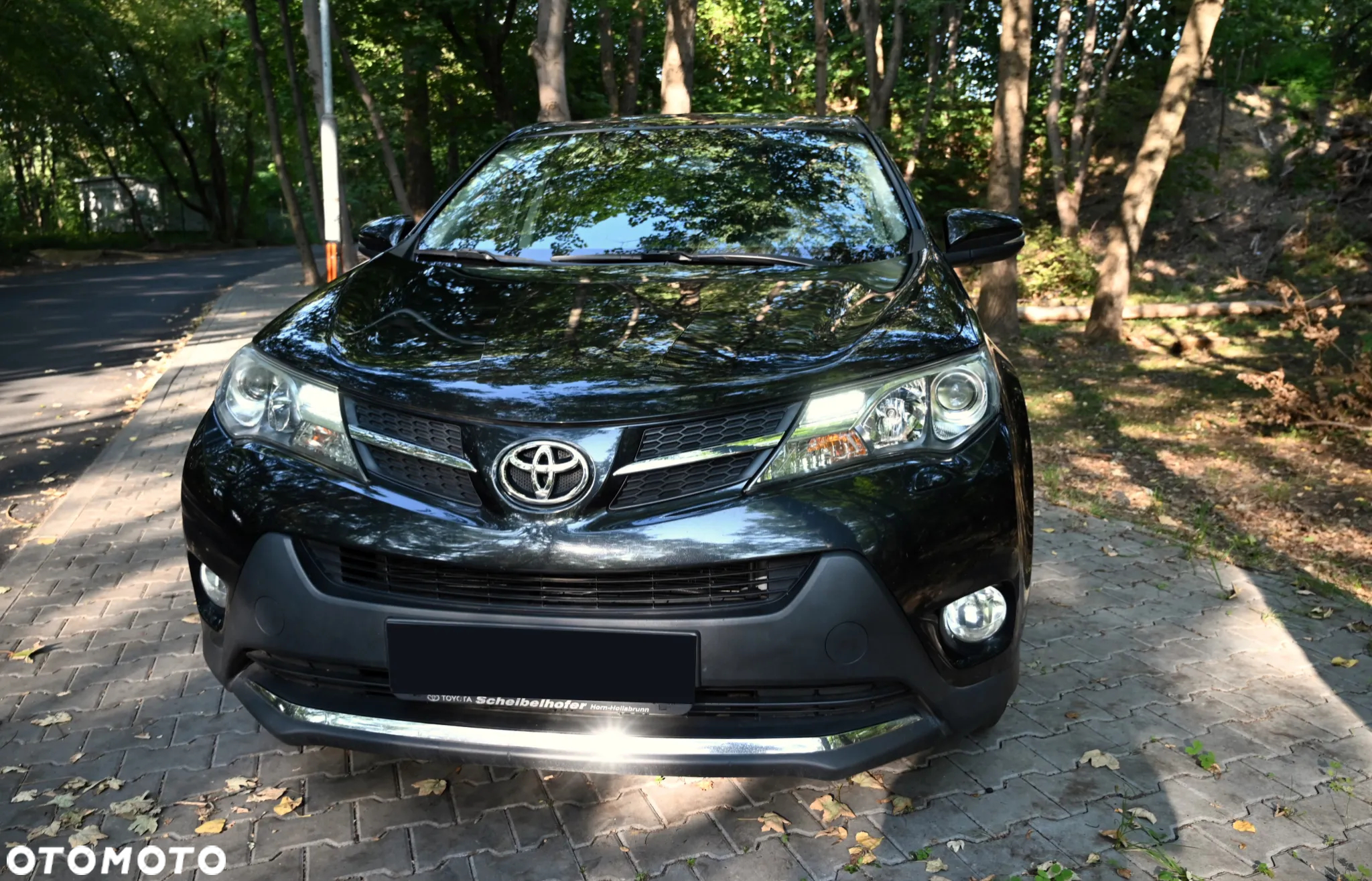 Toyota RAV4 - 5