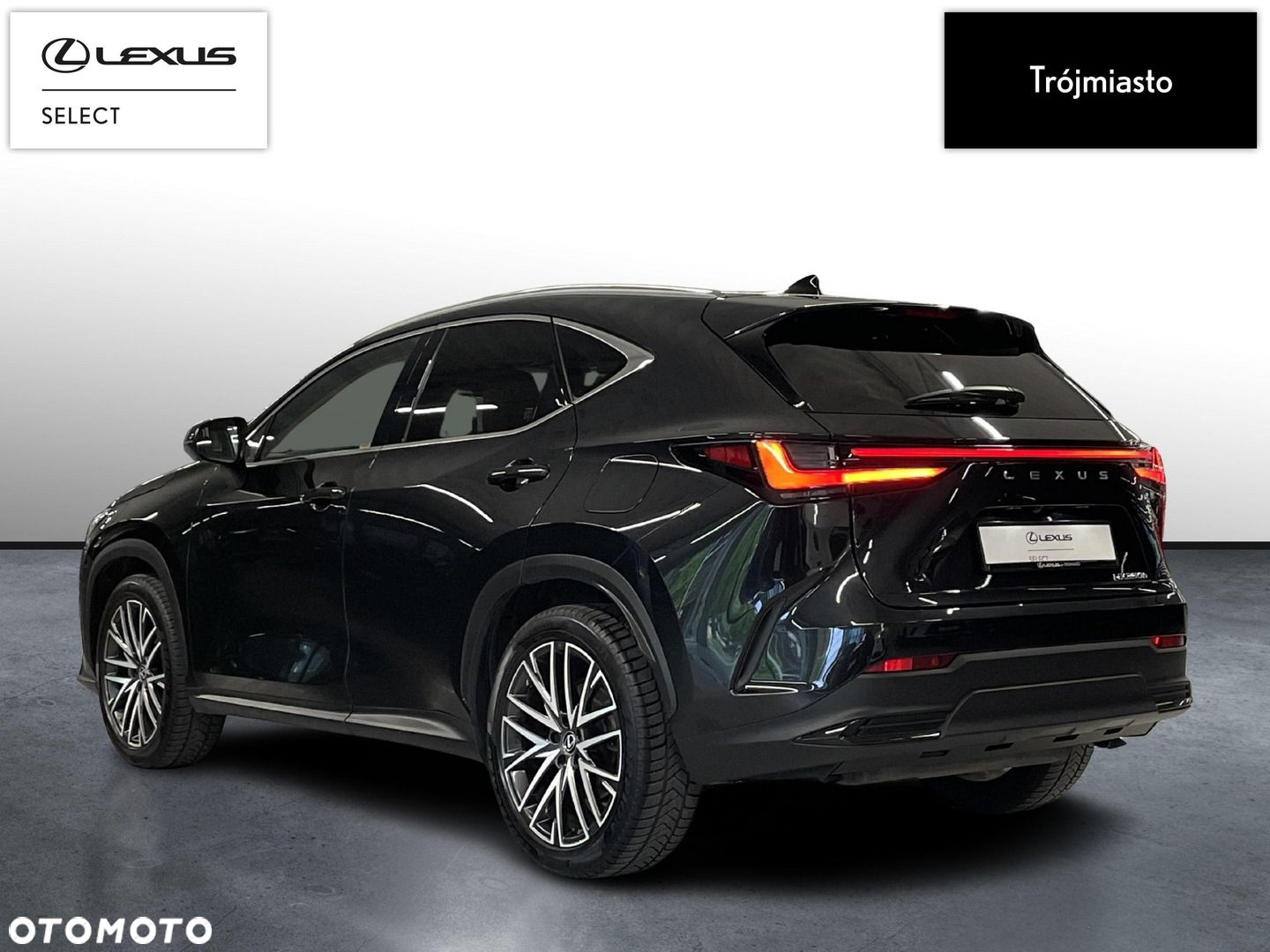 Lexus NX - 8