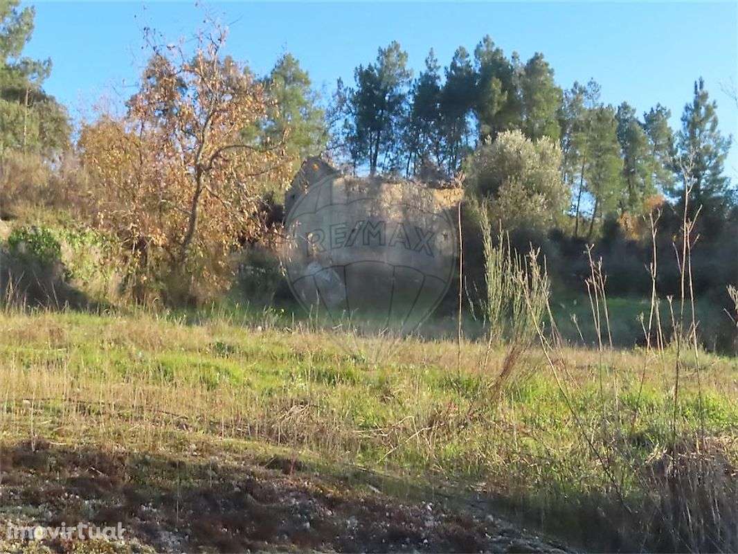 Quinta  para venda - Grande imagem: 3/25