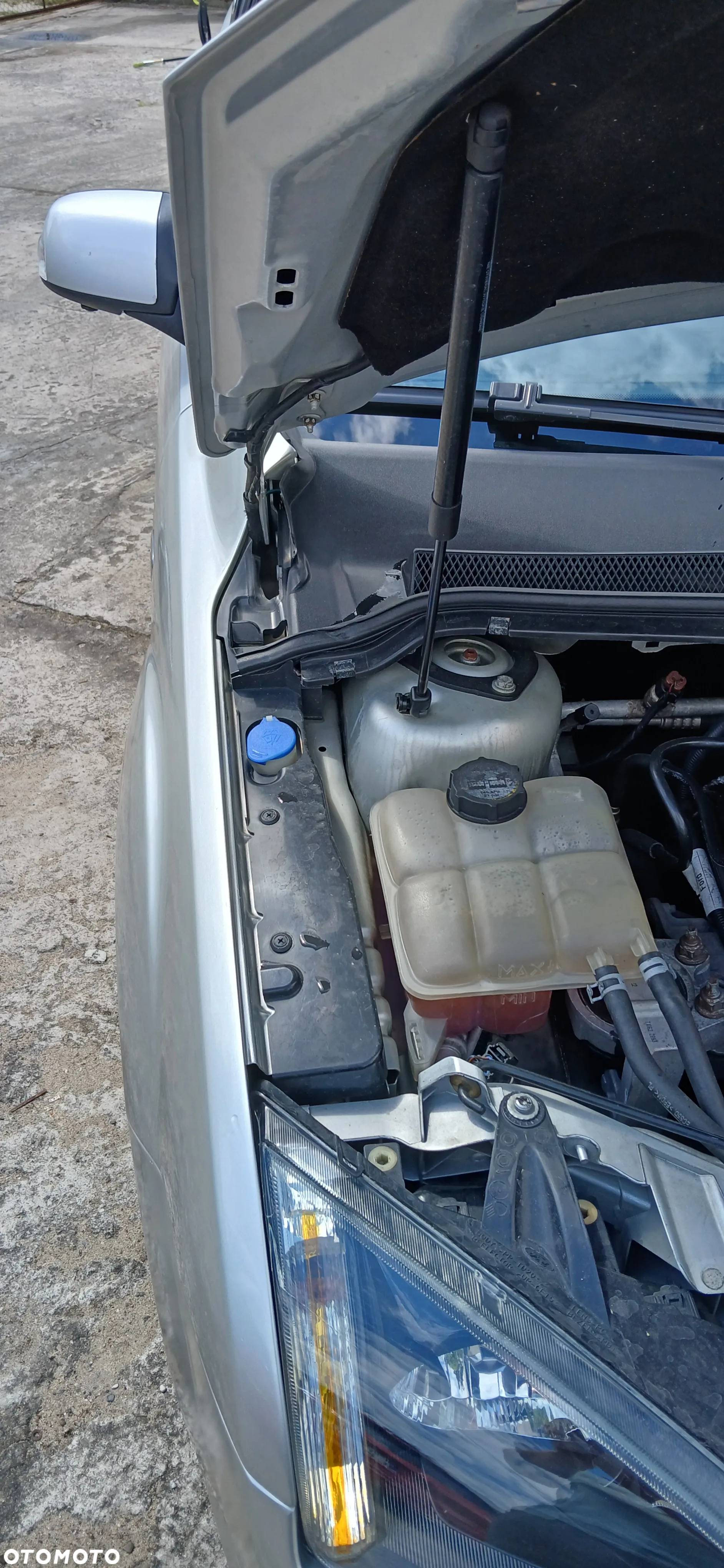 Ford Focus - 24