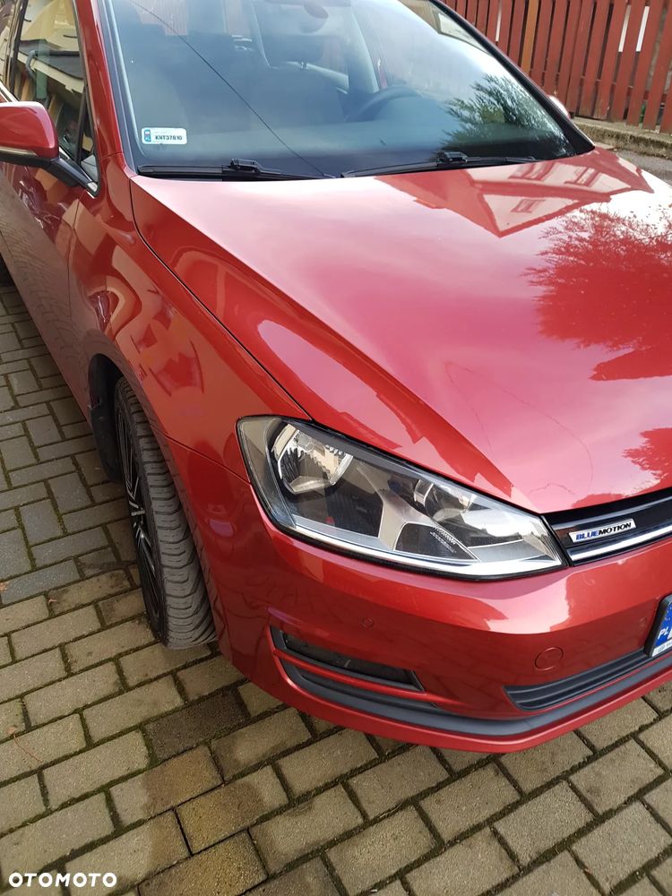 Volkswagen Golf 1.6 TDI BlueMotion Technology DSG Comfortline - 2