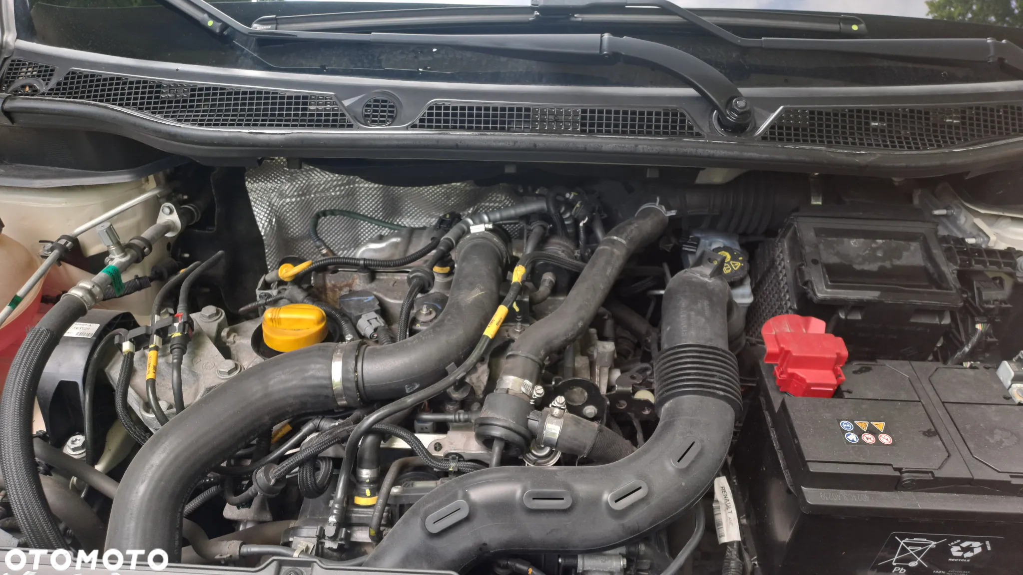 Renault Captur (ENERGY) TCe 90 LIMITED - 14
