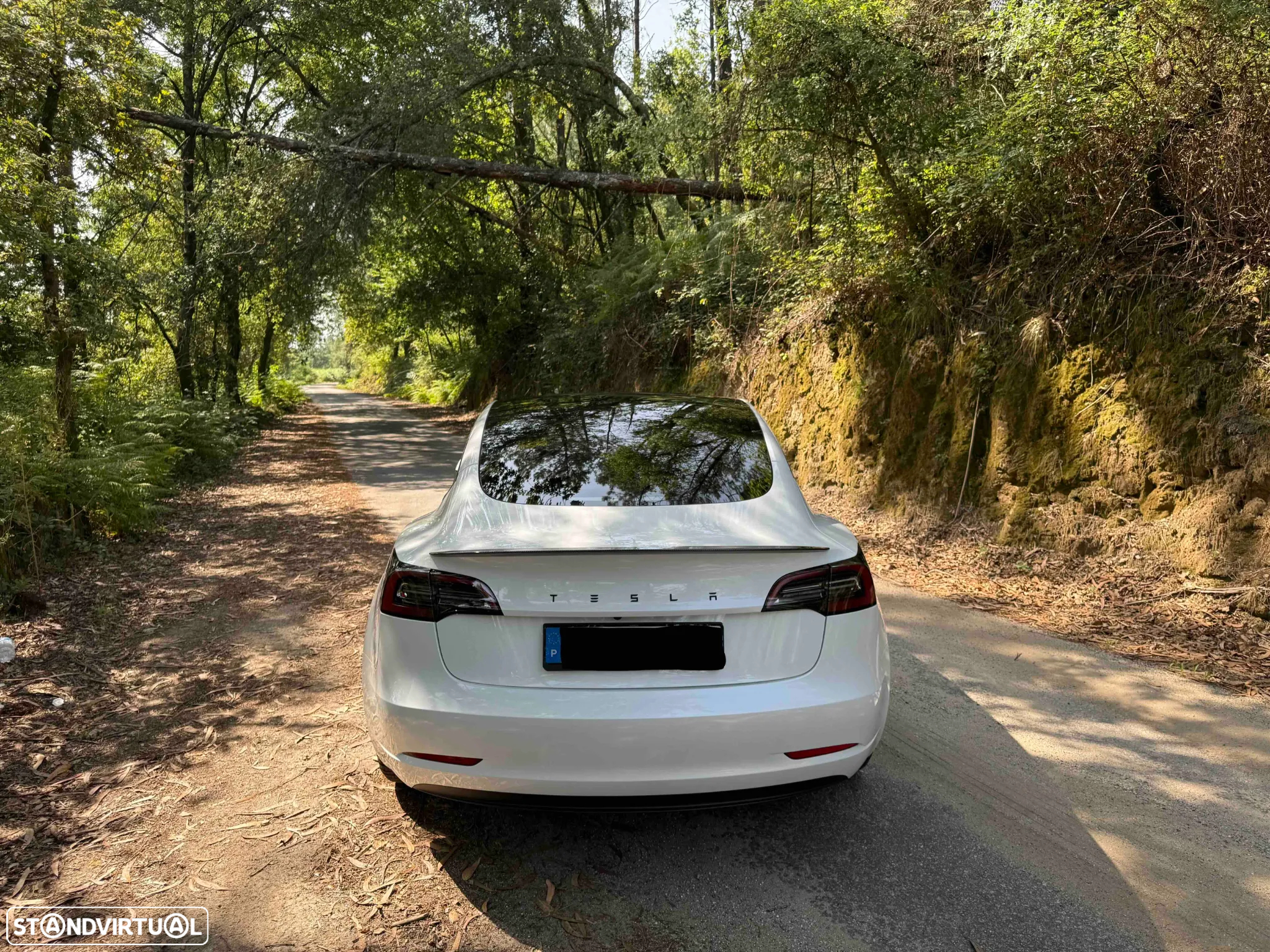 Tesla Model 3 Tração Traseira Premium - 5