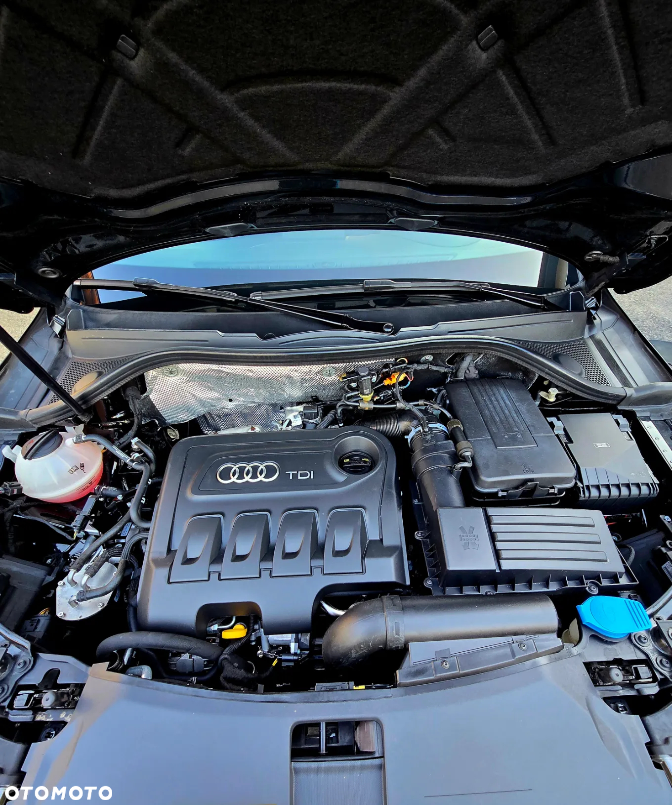 Audi Q3 2.0 TDI Quattro - 39