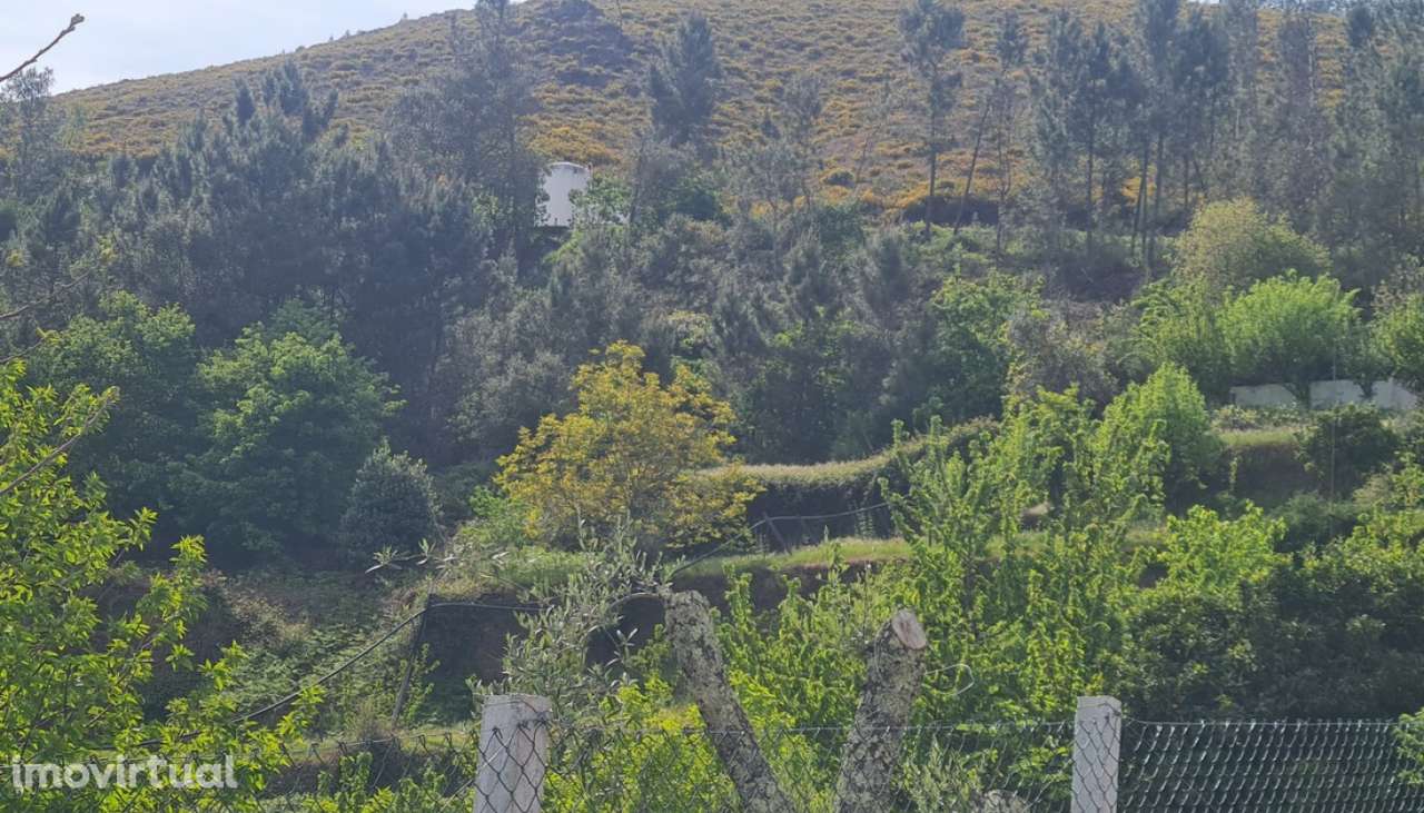 Venda Terreno, Gestaçô, Baião - Grande imagem: 2/32