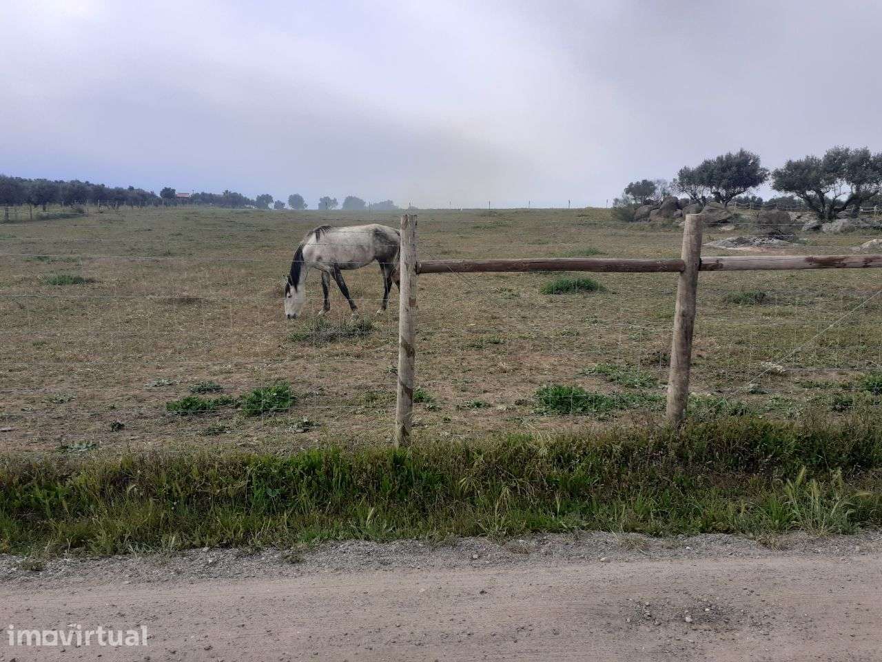 Terreno em São Miguel de Machede - Évora - Grande imagem: 5/6