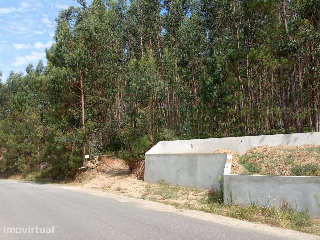 Terreno c/ 17.000m2 em Rebordões de Souto - Grande imagem: 3/3