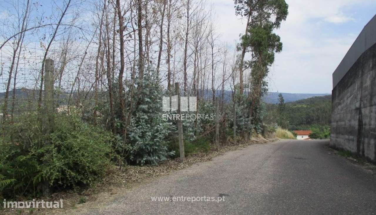 Venda Terreno, Oliveira, Amarante - Grande imagem: 2/12