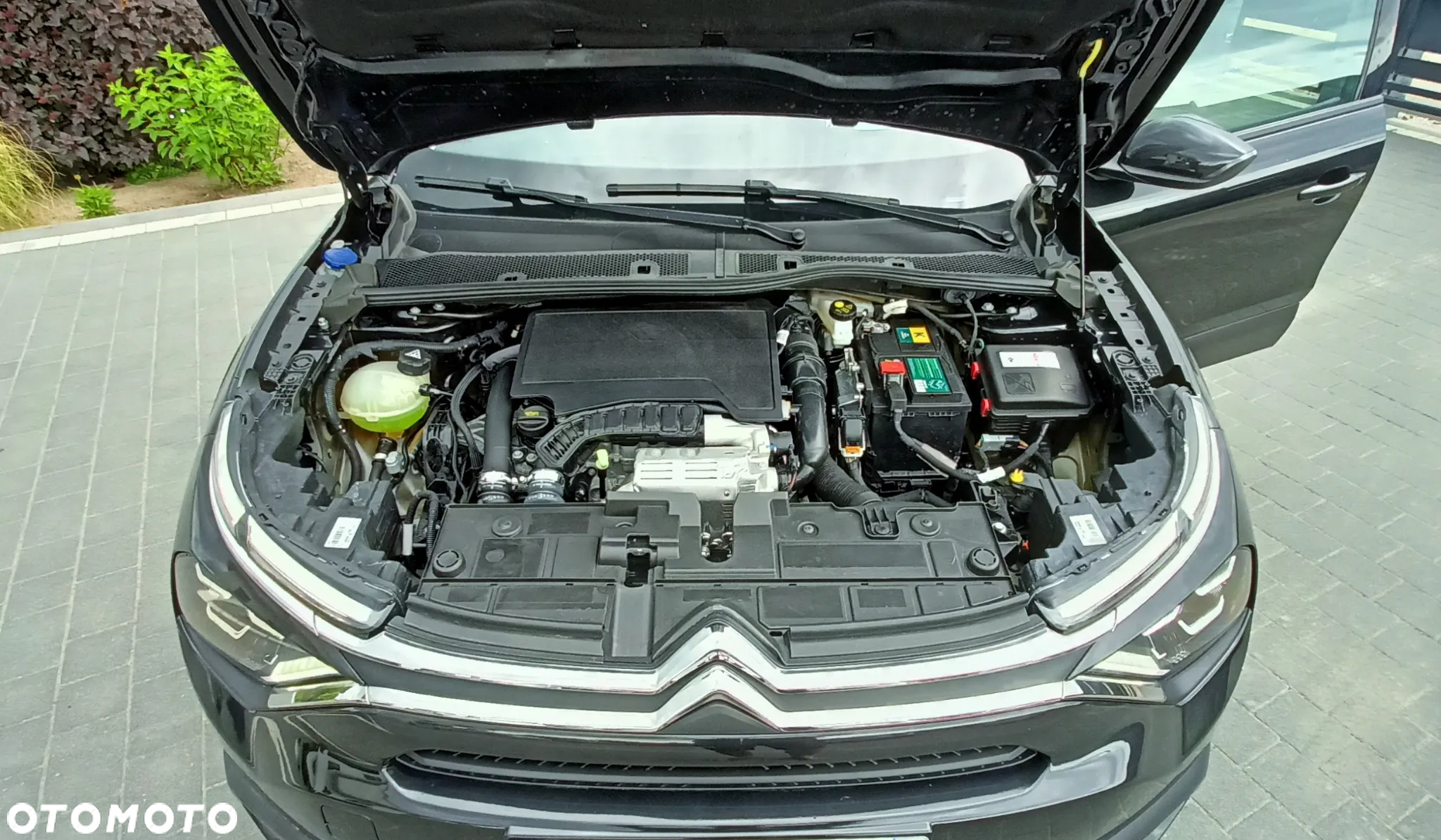 Citroën C4 1.2 PureTech Shine S&S - 5