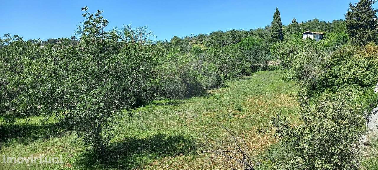 Terreno  para venda - Grande imagem: 3/4