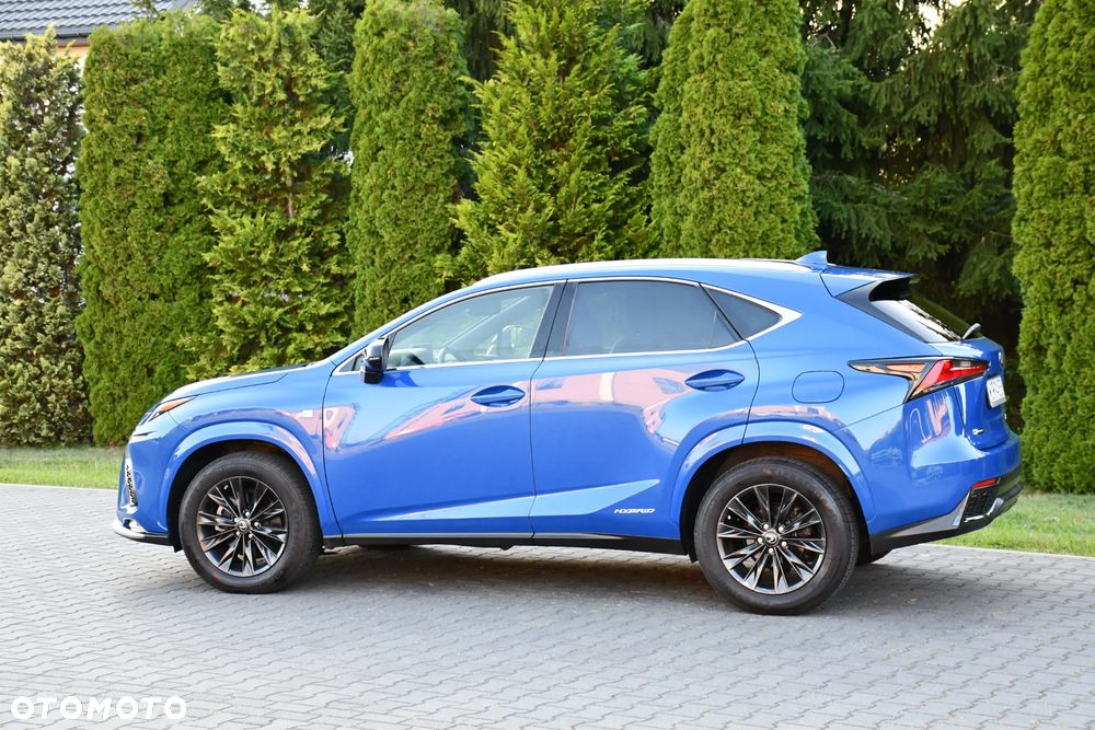 Lexus NX 300h E-FOUR F SPORT - 6