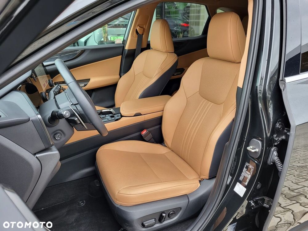 Lexus NX - 6
