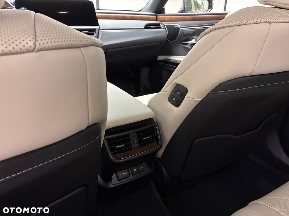 Lexus ES 300h Omotenashi - 7